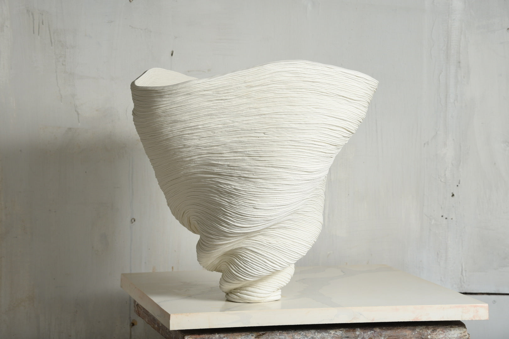 Big White Bowl Vase #1