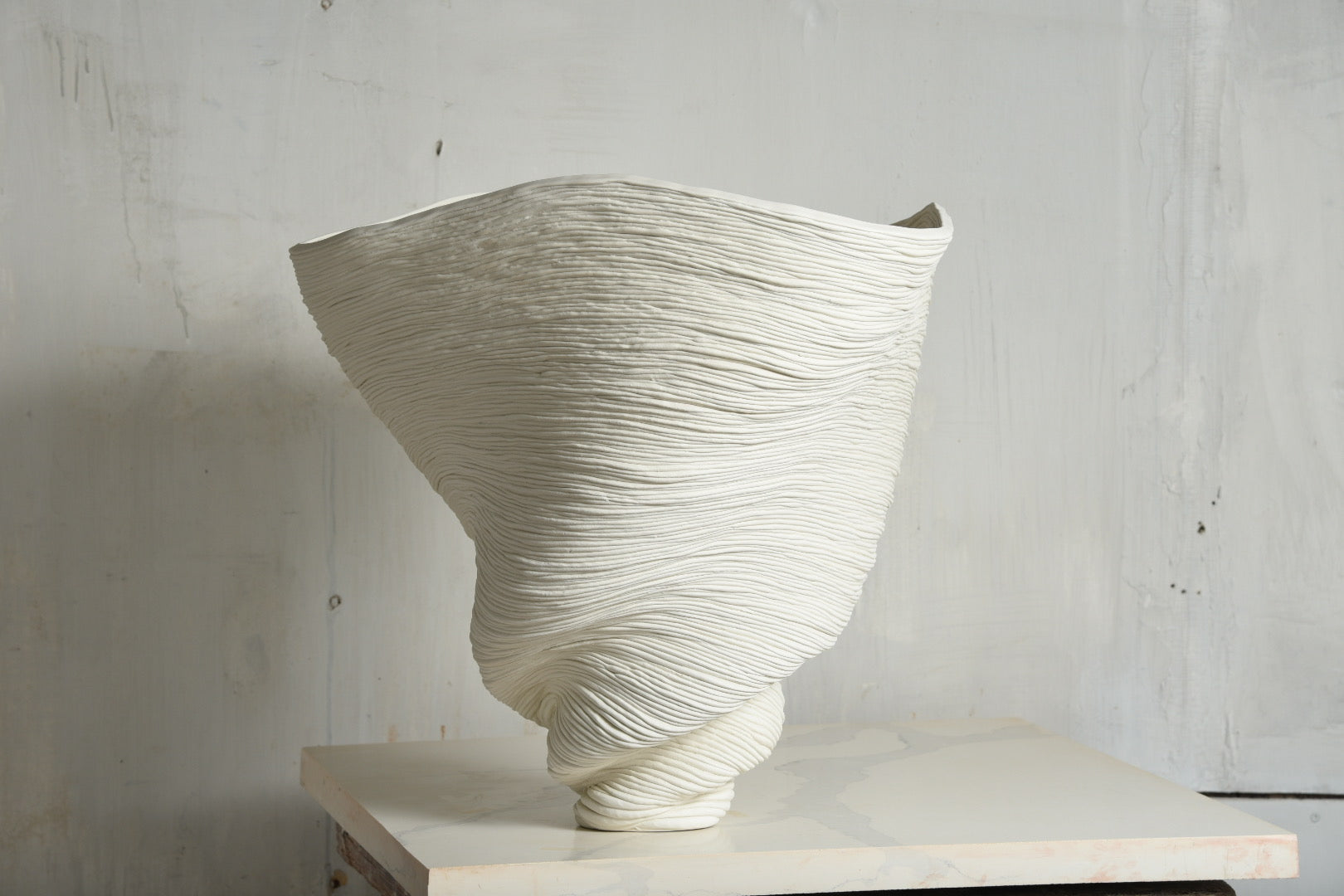 Big White Bowl Vase #1