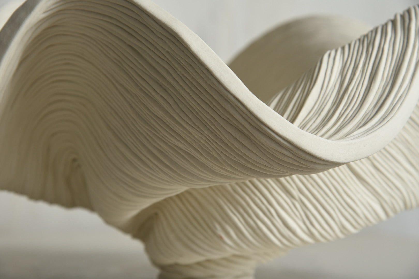 White Bowl #1