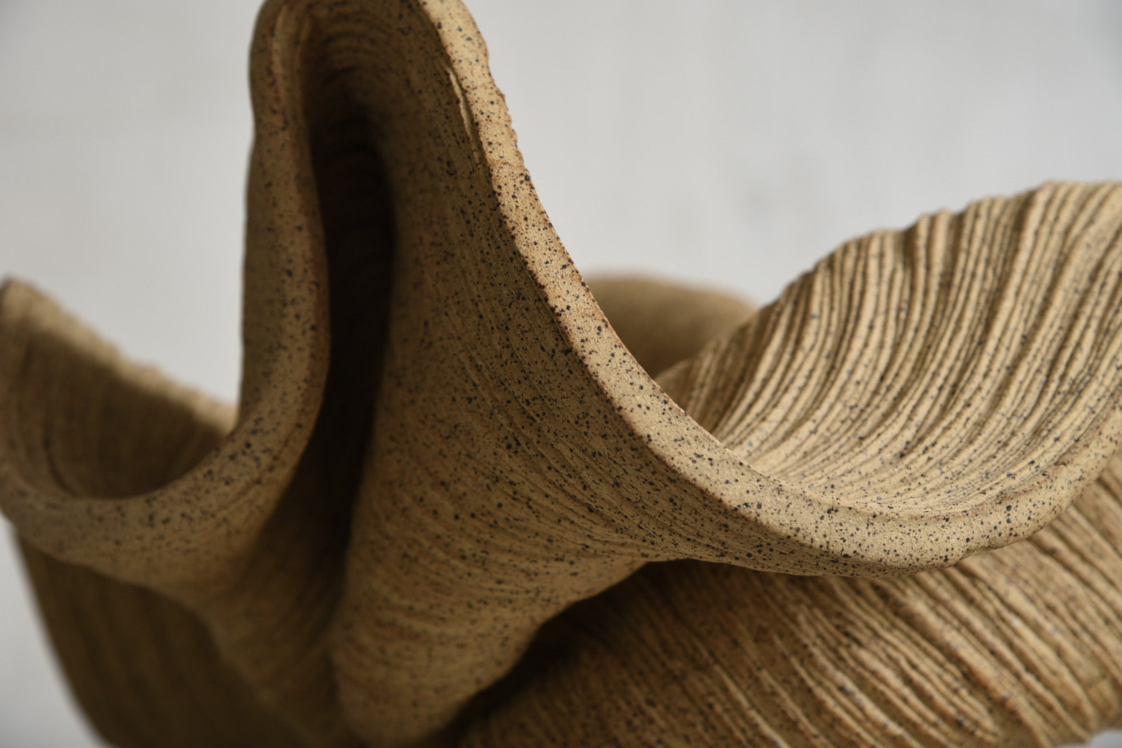 Tan Bowl #1
