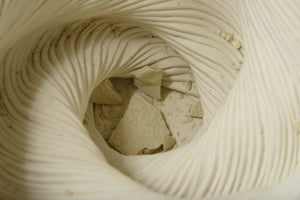 Big White Bowl Vase #2