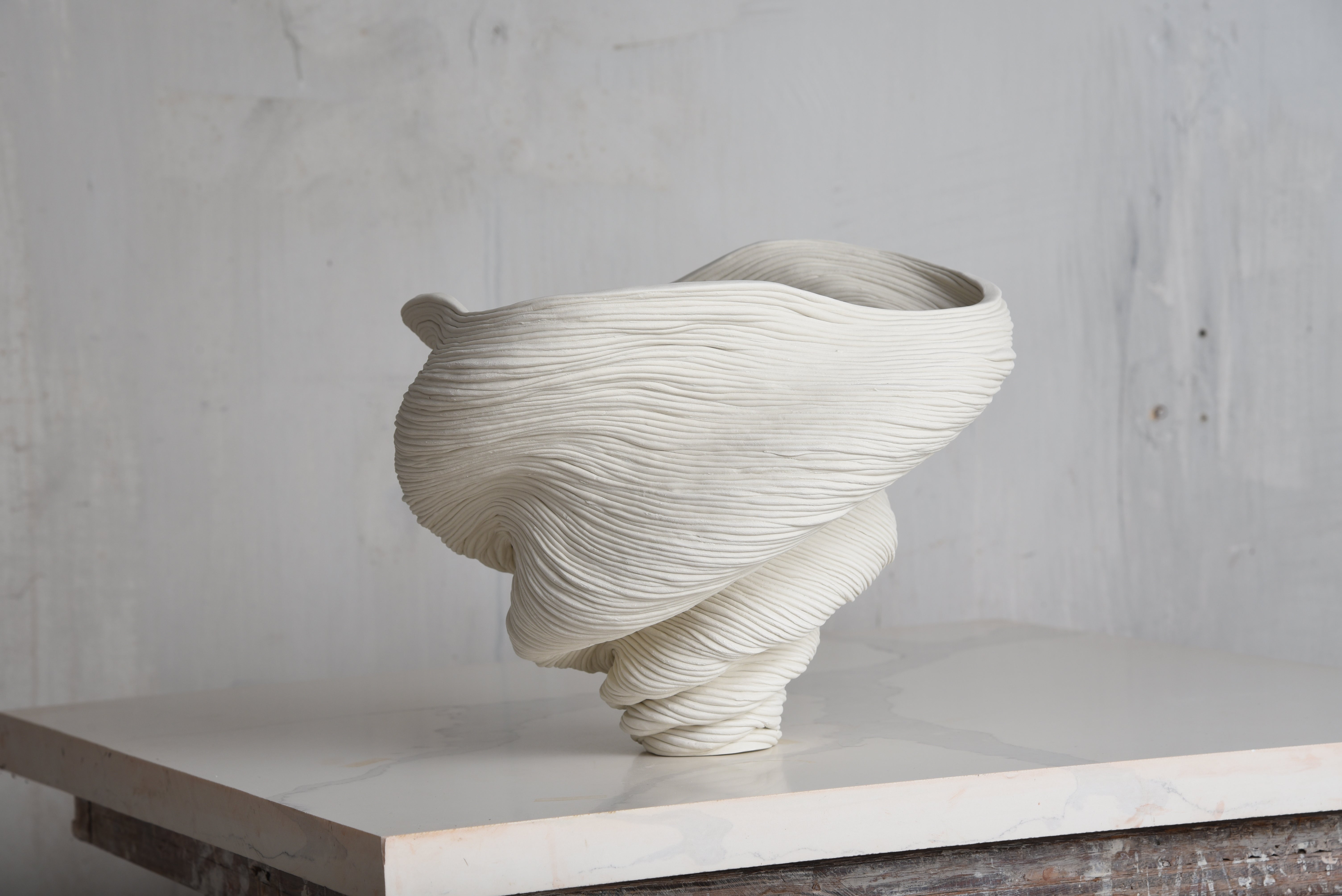 Wide Porcelain Vase #1