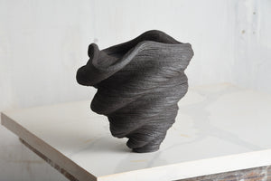 Black Vase #1