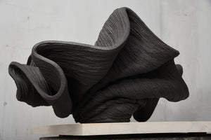 Black Wavy Form